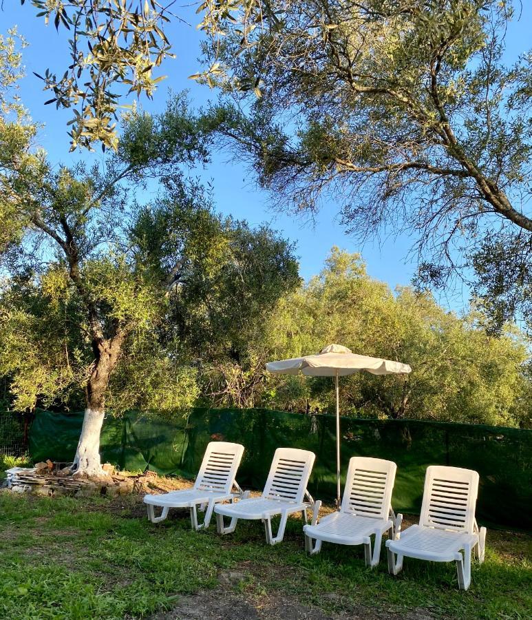 Endless Green: Feel Free And Cozy In Nature Perivólion Exterior foto