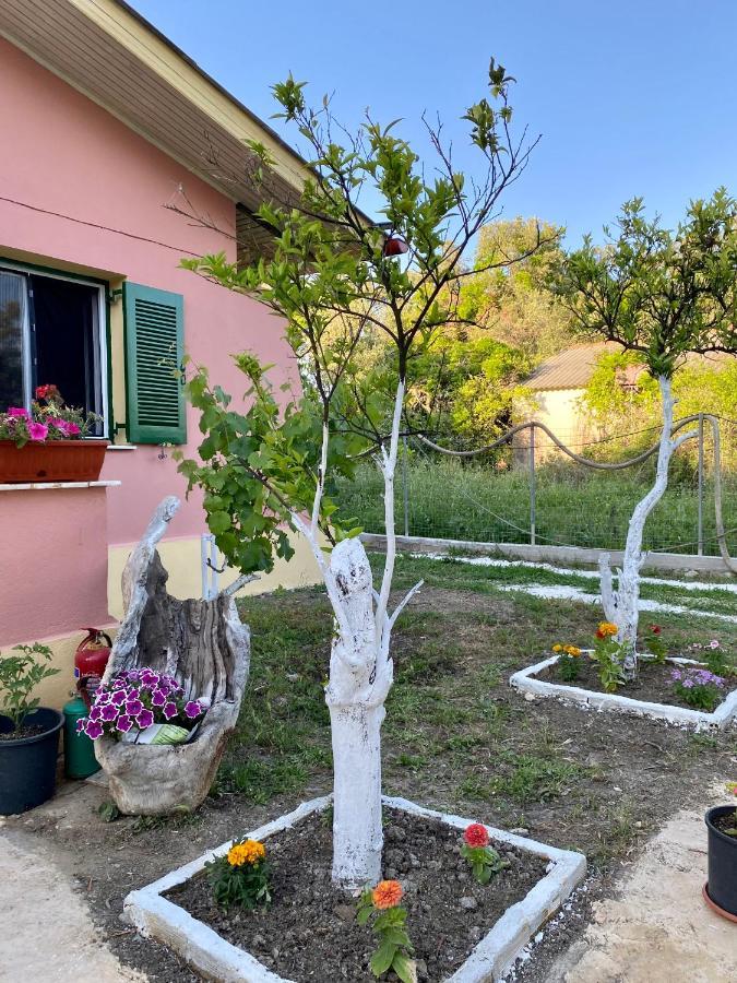 Endless Green: Feel Free And Cozy In Nature Perivólion Exterior foto